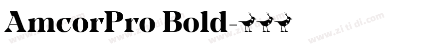 AmcorPro Bold字体转换